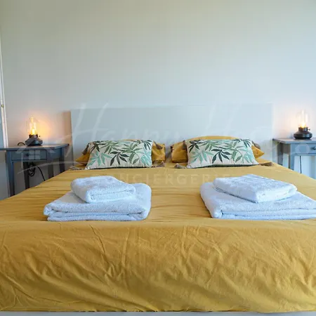 Grande Avec Piscine Chauffée Et Privée Andance